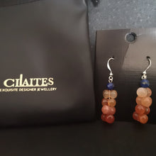 Load image into Gallery viewer, Carnelian Peanut Earrings
